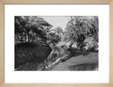 View of water channels at ...