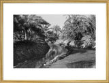View of water channels at ...
