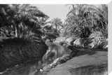 View of water channels at ...