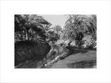 View of water channels at ...