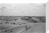 View of desert landscape in ...