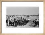 View of Wahiba Bedouin at ...