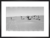 View of Wilfred Thesiger's party ...
