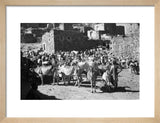 View of livestock at a ...