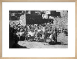 View of livestock at a ...