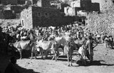 View of livestock at a ...