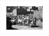 View of livestock at a ...