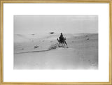 View of a member of ...