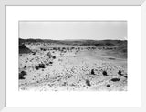 Landscape of a gravelly dry ...