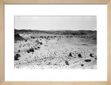 Landscape of a gravelly dry ...