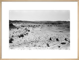 Landscape of a gravelly dry ...