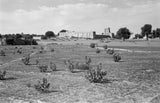 View of a field, houses ...
