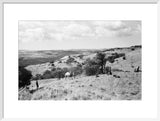 View of people relaxing on ...