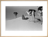 View of Wilfred Thesiger's travelling ...
