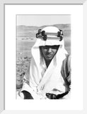 Close up portrait of Mabarak ...