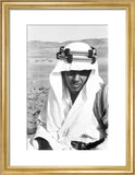 Close up portrait of Mabarak ...