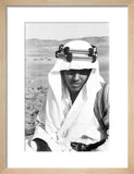 Close up portrait of Mabarak ...
