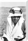 Close up portrait of Mabarak ...