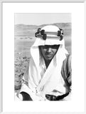 Close up portrait of Mabarak ...