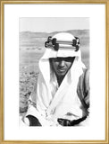 Close up portrait of Mabarak ...