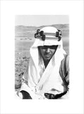 Close up portrait of Mabarak ...
