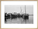 View of dhows (sailboats) moored ...