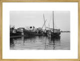 View of dhows (sailboats) moored ...