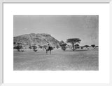 View of a member of ...