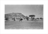 View of a member of ...