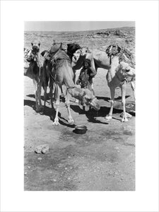 View of Wilfred Thesiger's travelling ...