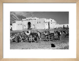View of a camel caravan ...