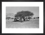 View of Wilfred Thesiger's travelling ...