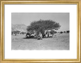 View of Wilfred Thesiger's travelling ...