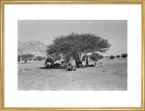 View of Wilfred Thesiger's travelling ...