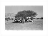 View of Wilfred Thesiger's travelling ...