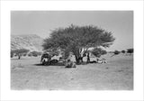 View of Wilfred Thesiger's travelling ...