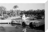 View of an Arab man ...