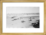 View of Wilfred Thesiger's party ...