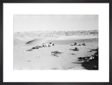 View of Wilfred Thesiger's party ...