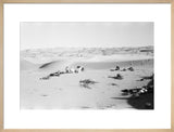 View of Wilfred Thesiger's party ...