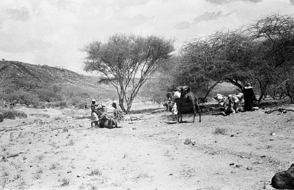 View of Wilfred Thesiger's travelling ...