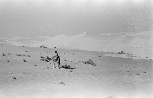 View of a member of ...