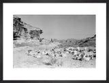 View of Qahtan Bedouin herding ...