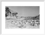 View of Qahtan Bedouin herding ...