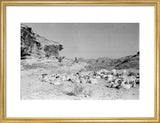 View of Qahtan Bedouin herding ...