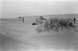 View of Wilfred Thesiger's party ...