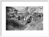 View of Wilfred Thesiger's Bedouin ...