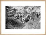 View of Wilfred Thesiger's Bedouin ...
