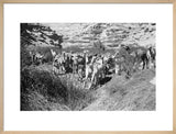 View of Wilfred Thesiger's Bedouin ...