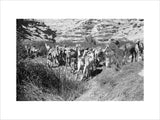 View of Wilfred Thesiger's Bedouin ...